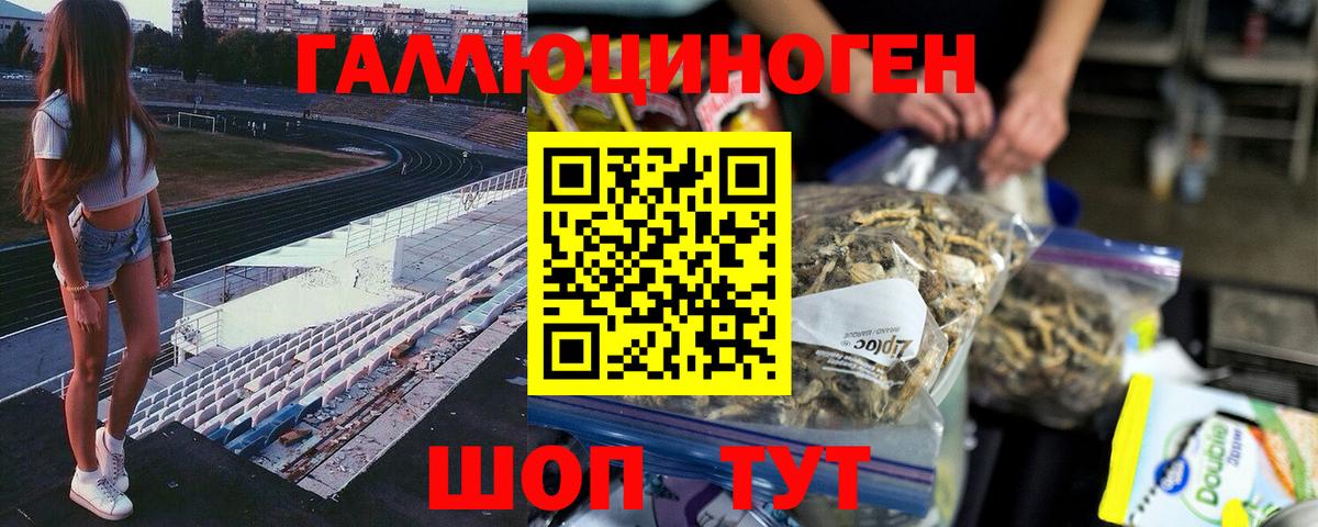 Псилоцибиновые грибы GOLDEN TEACHER Дагестанские Огни