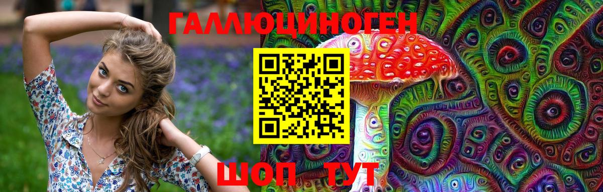 Дагестанские Огни  Галлюциногенные грибы прущие грибы  Вход с VPN 